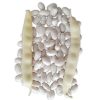 Semen Beyaz Barbunya Tohumu Albus 2 Kg